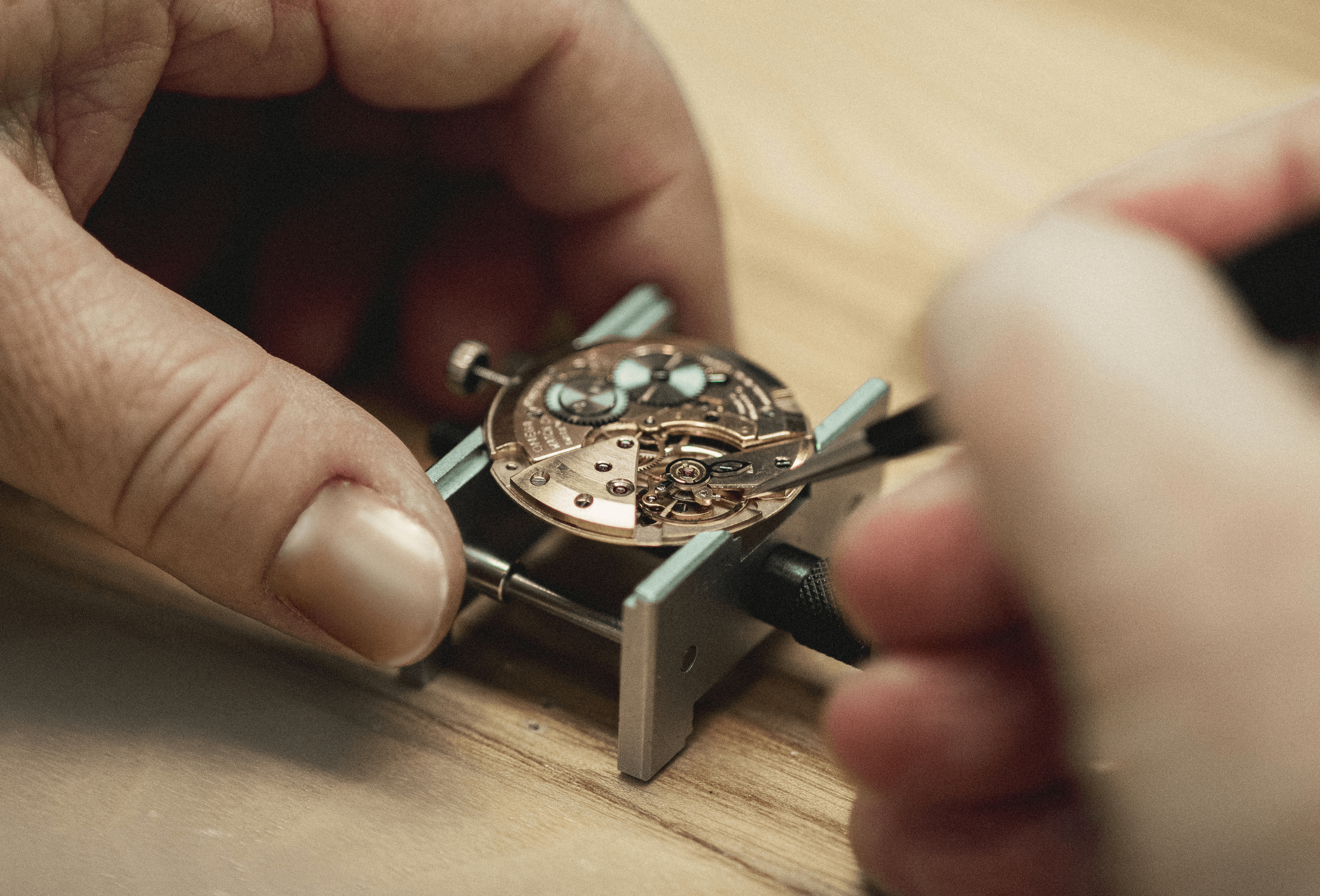 The Anatomy of a Watch